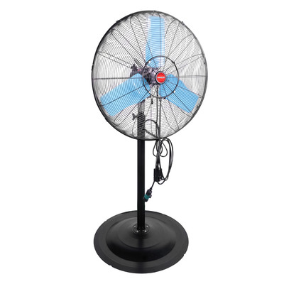 fan